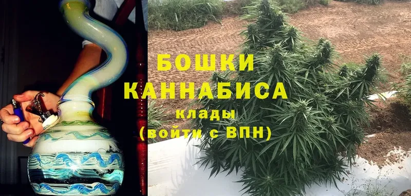 блэк спрут вход  Киреевск  Бошки марихуана Amnesia  хочу наркоту 